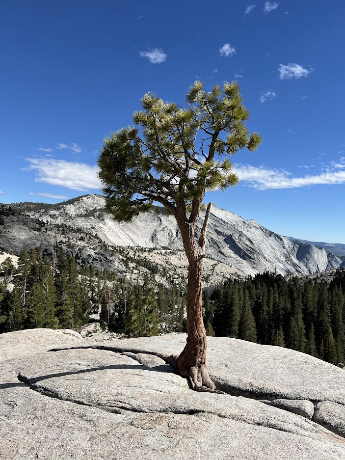 Olmsted Point image unavailable